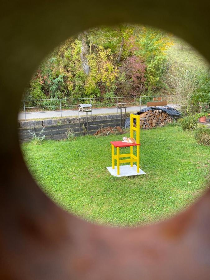 Gasthof Zur Saegemuehle Hiltpoltstein エクステリア 写真