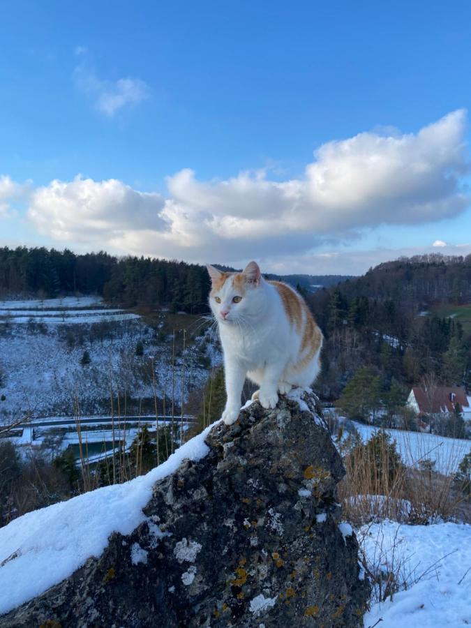 Gasthof Zur Saegemuehle Hiltpoltstein エクステリア 写真