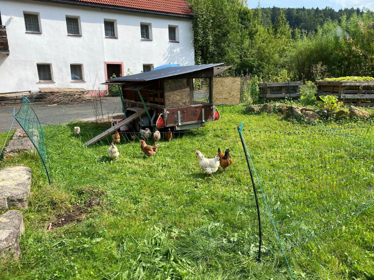 Gasthof Zur Saegemuehle Hiltpoltstein エクステリア 写真